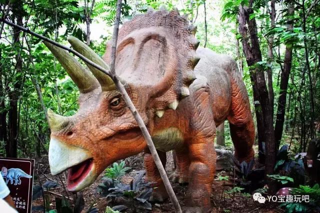 济南野生动物世界一日游自驾,济南野生动物世界一日游攻略