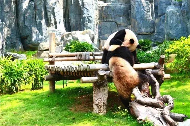 深圳龙岗周边游玩景点推荐,深圳及周边亲子游好去处