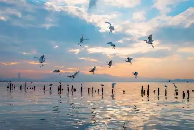 深圳龙岗周边游玩景点推荐,深圳及周边亲子游好去处