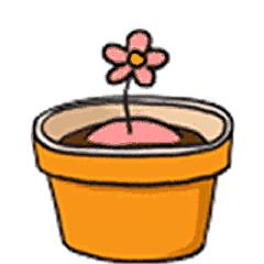 潘达安瓶精华哪个最值得入手,最火安瓶