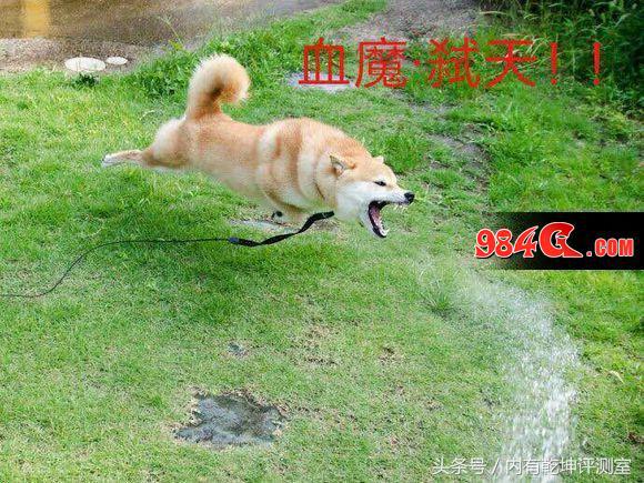 dnf鑱屼笟鎺掕2021楝兼常,dnf楝兼常鑱屼笟鐗瑰寲