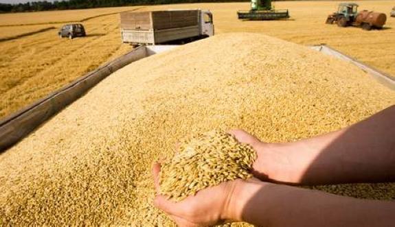 中粮集团重点打造粮油食品产业链,中粮和abcd粮商之战