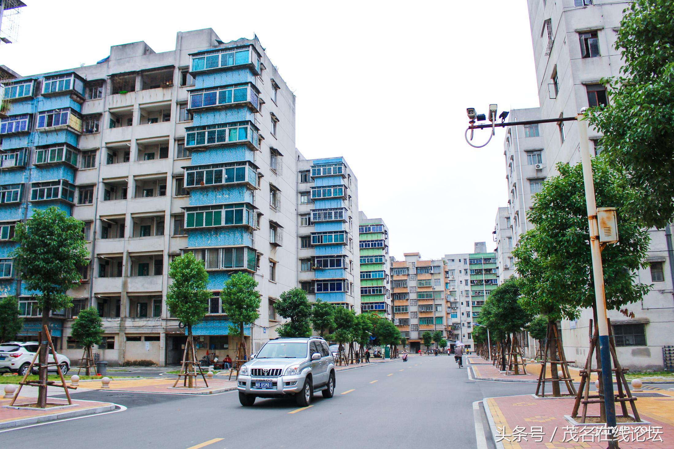 江东花园最好小区,发现我们身边的美