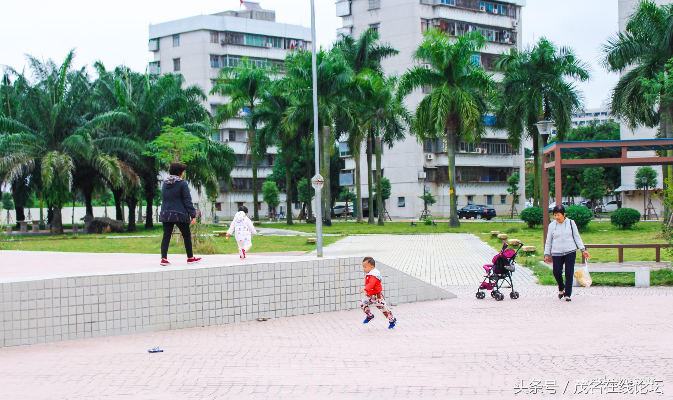 江东花园最好小区,发现我们身边的美