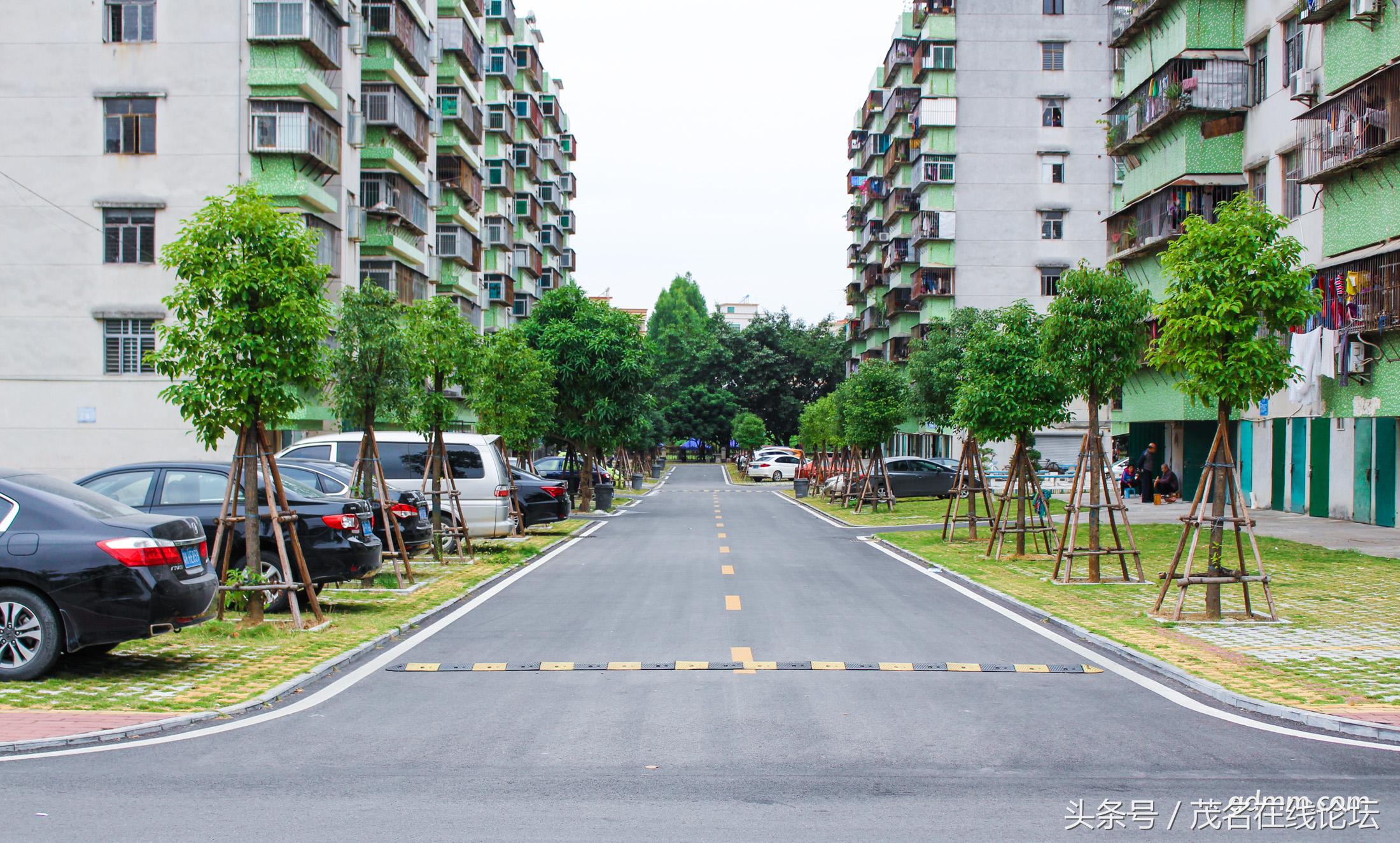 江东花园最好小区,发现我们身边的美