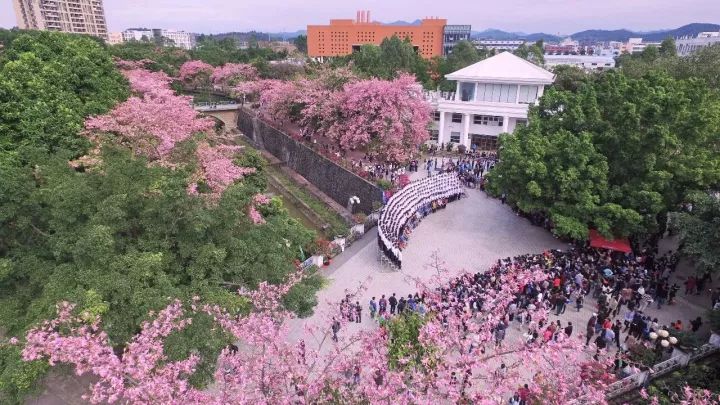 华软科技的趋势,华软科技有多厉害
