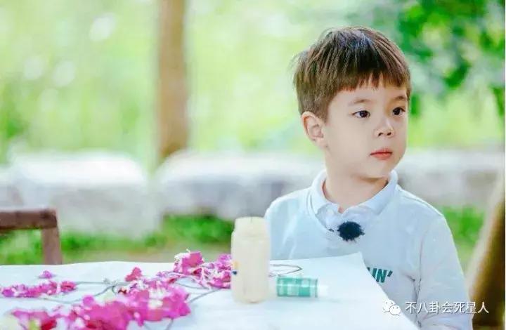 爸爸去哪儿5最后回忆,爸爸去哪儿5在哪里可以看