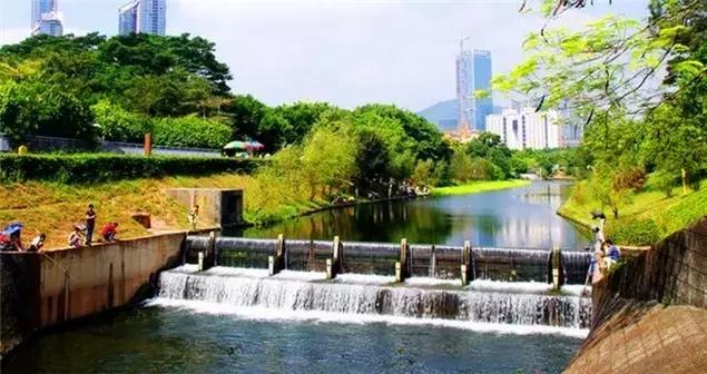 深圳龙岗周边游玩景点推荐,深圳及周边亲子游好去处