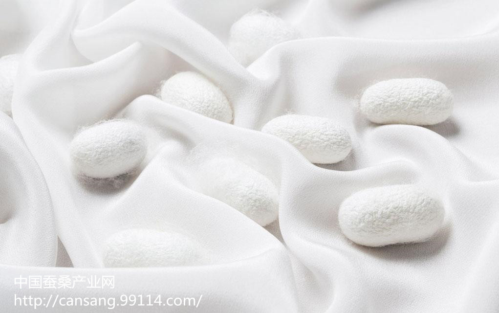 如何鉴别真假桑蚕丝面料,真假桑蚕丝被怎么辨别