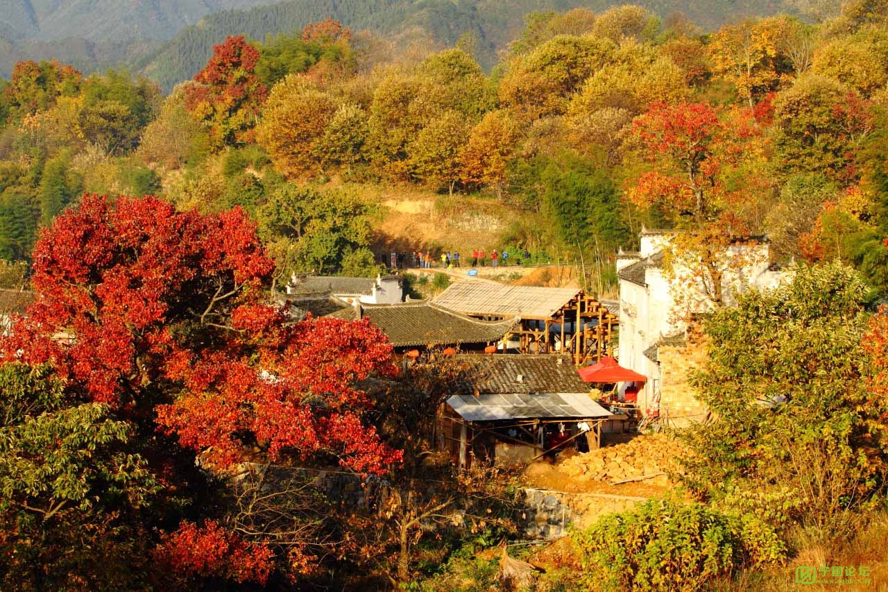 安徽最值得看的景点有哪些,安徽哪些小镇值得一去