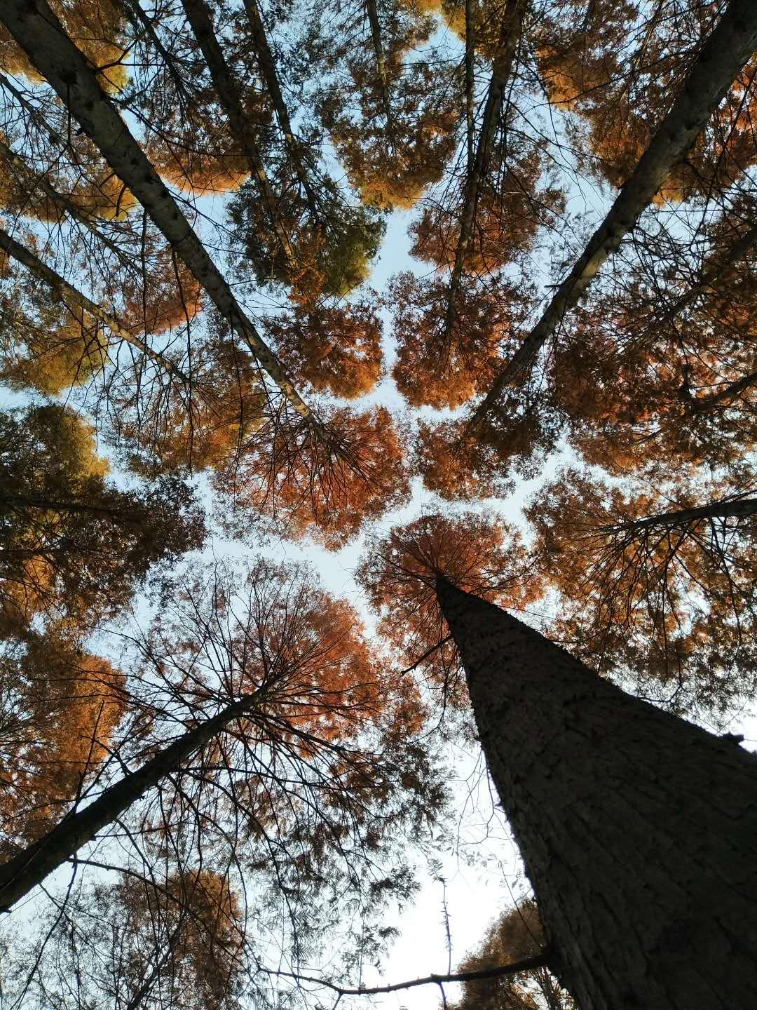 手拍世界投稿,手拍世界手机摄影平台