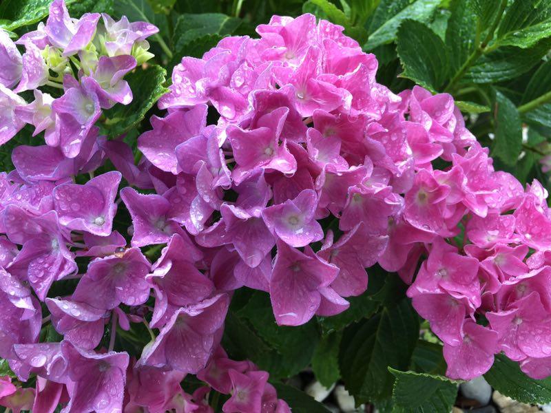 手拍世界投稿,手拍世界手机摄影平台