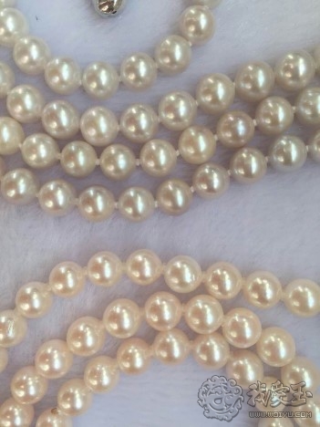 日本珍珠akoya如何鉴定,日本akoya珍珠为什么好