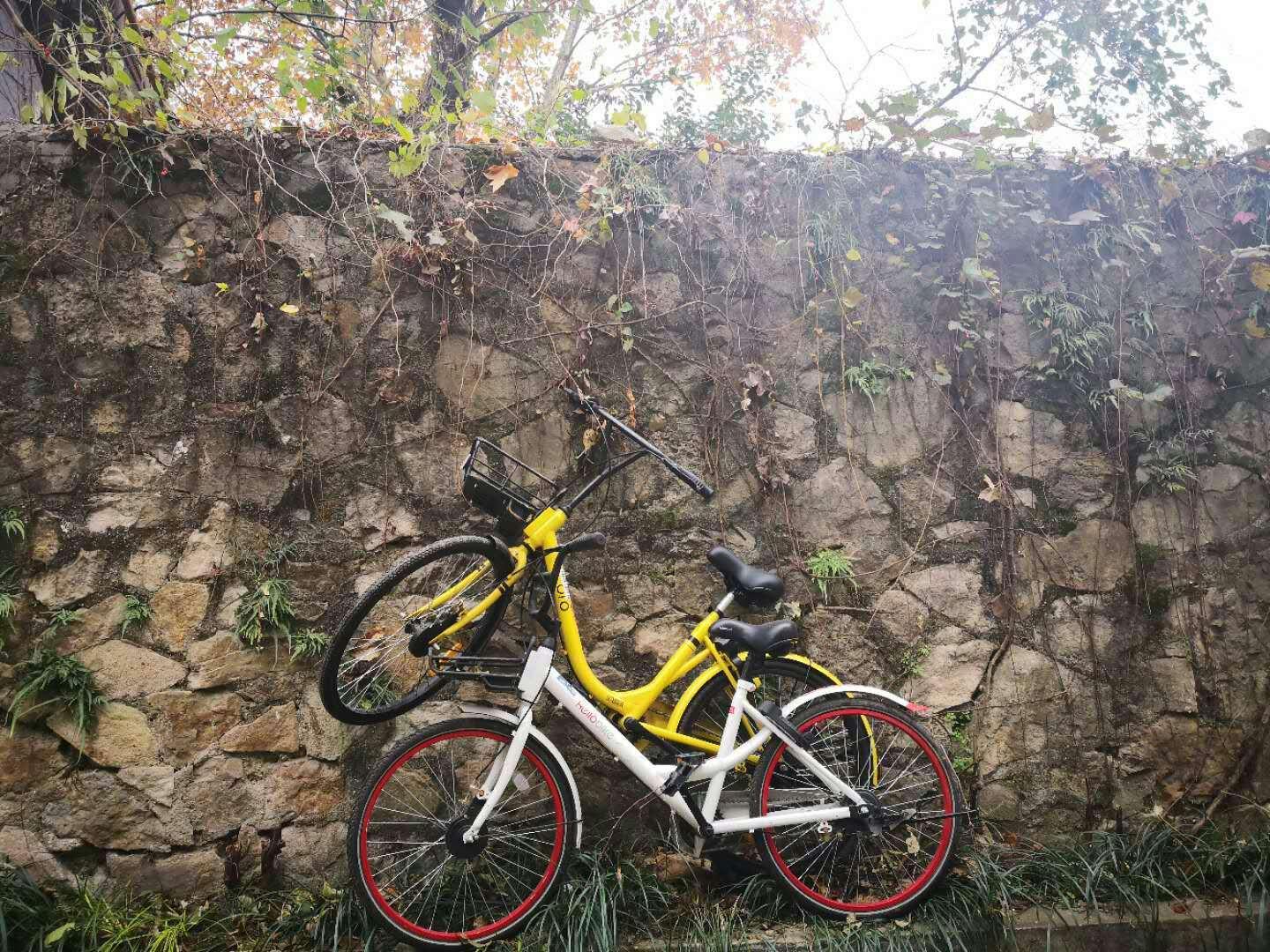 手拍世界投稿,手拍世界手机摄影平台