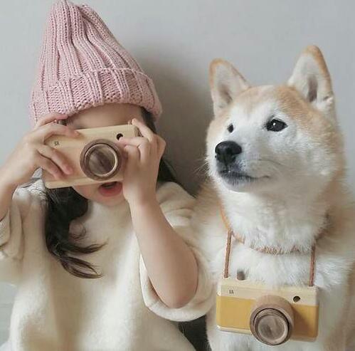 最有灵性的狗狗是什么样的,最有灵性狗狗