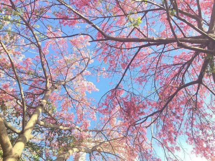 华软科技的趋势,华软科技有多厉害