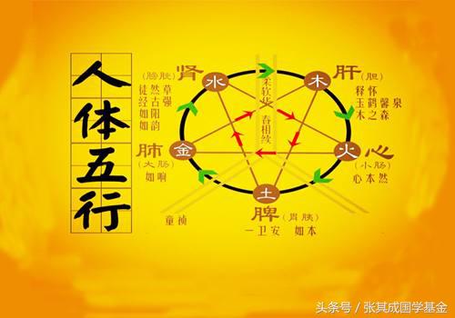 从五行就能看出体质,从五行看什么是土