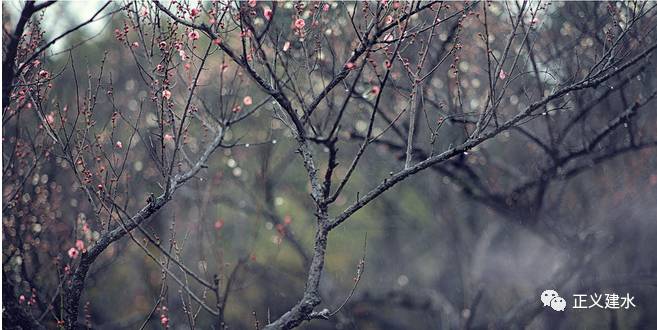 大智若愚的最高境界前一句话,处世警句经典古句摘抄