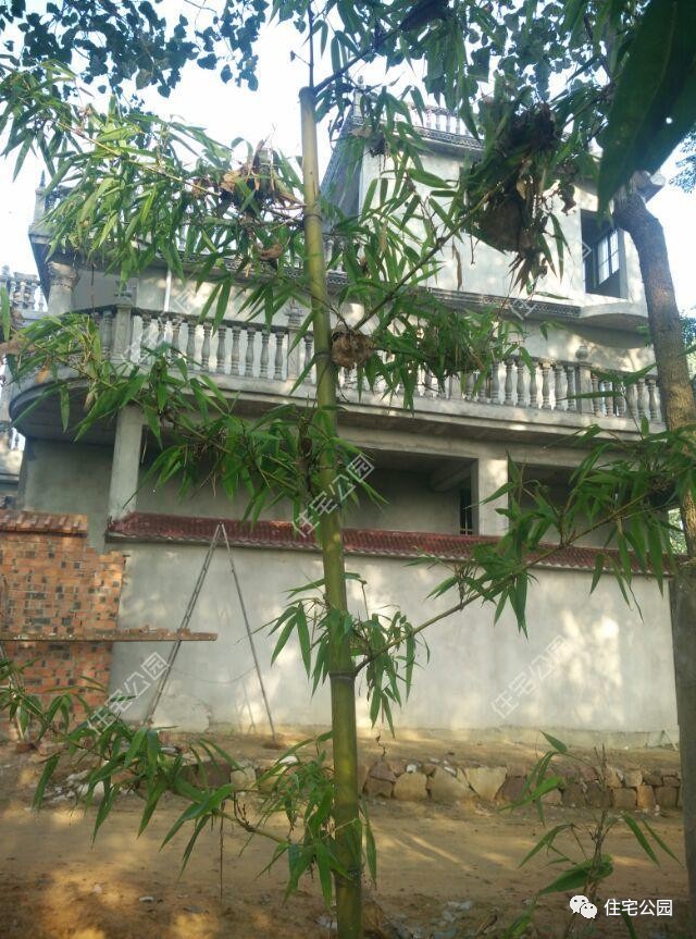 为什么红砖不如土砖,红砖为什么不能拿去盖房子