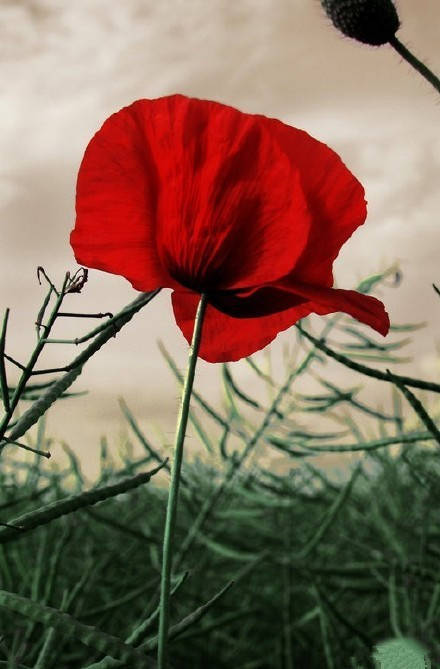 mp3随身听80后,mp3随身听复古