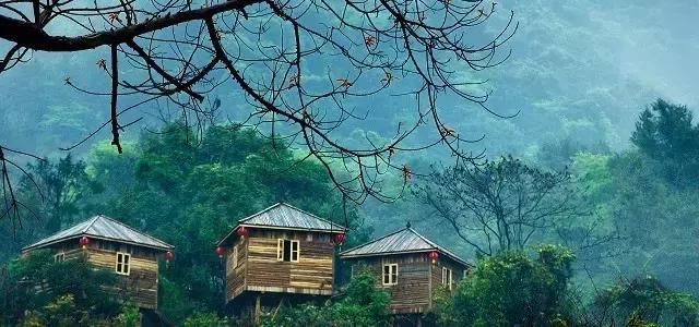 深圳龙岗周边游玩景点推荐,深圳及周边亲子游好去处