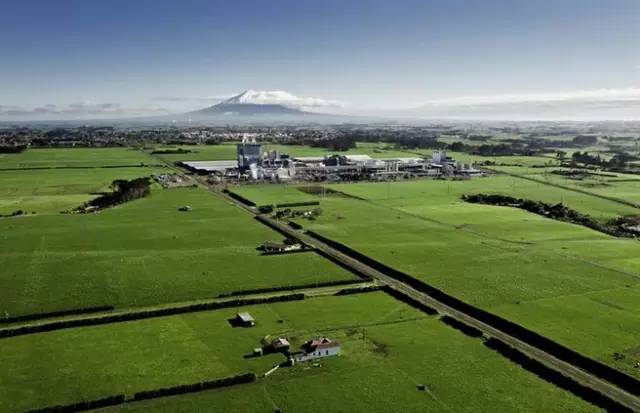 新西兰有什么特色产品,新西兰地域特产是什么