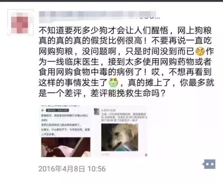 泰迪的生命为啥如此脆弱,泰迪的寿命是人类的多少年