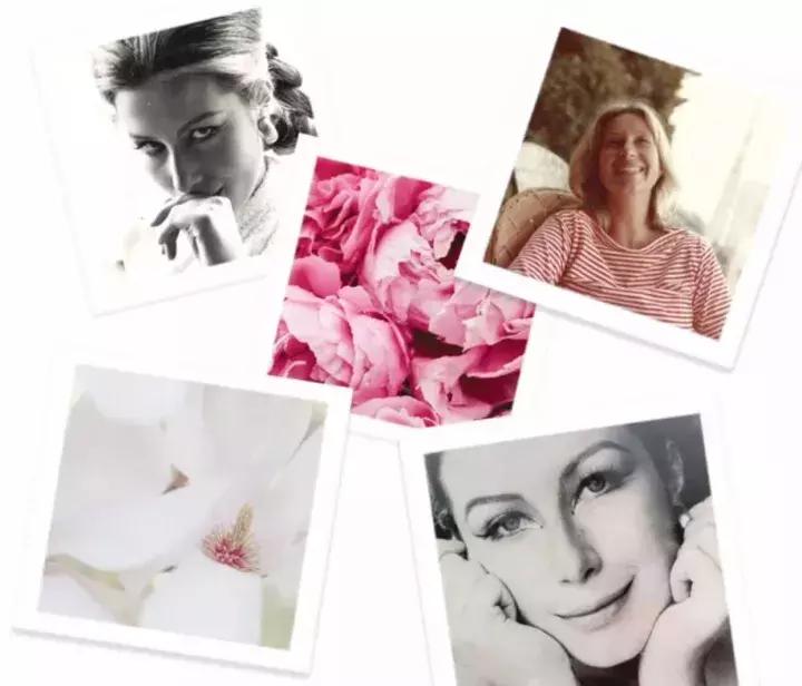 毒舌小s完整版,毒舌小s的弱点在哪