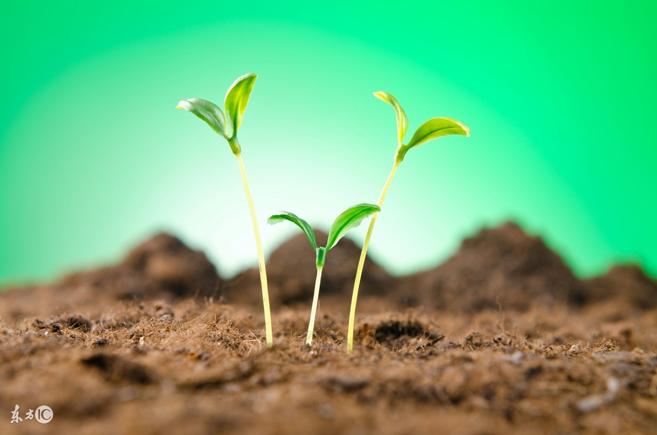 丰收有保障,丰收高产有保障