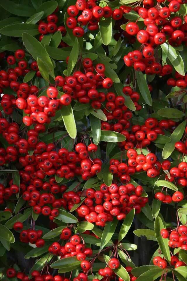 手拍世界投稿,手拍世界手机摄影平台