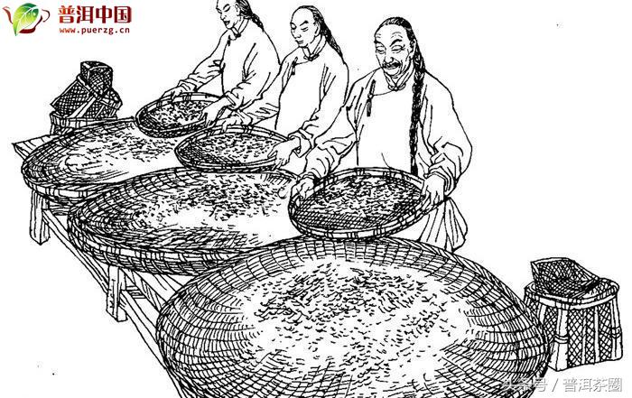 闽南乌龙与闽北乌龙制茶工艺,白茶制茶工艺流程及原理的讲解