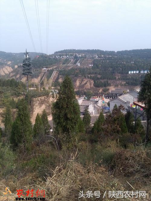 魏志孝幽默风趣,魏志孝旅游视频全集