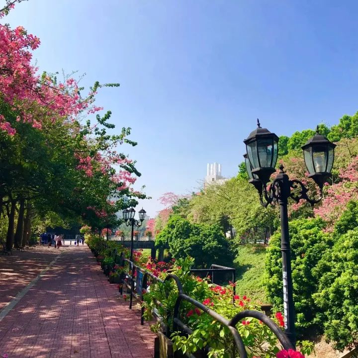 华软科技的趋势,华软科技有多厉害