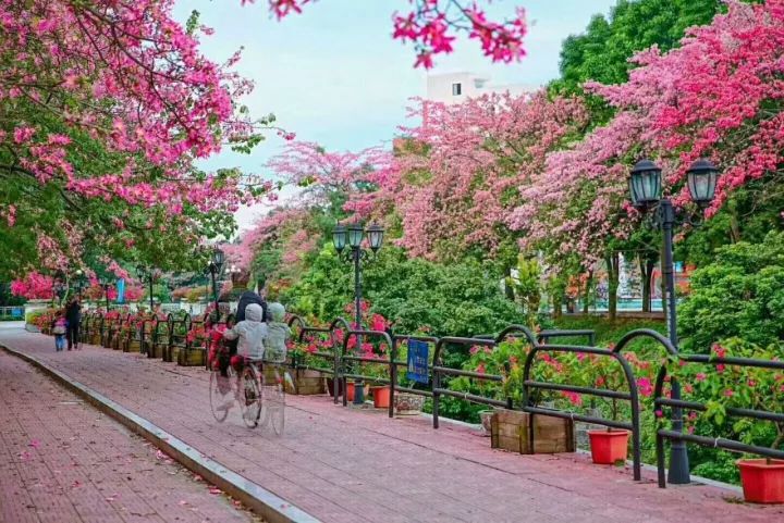 华软科技的趋势,华软科技有多厉害