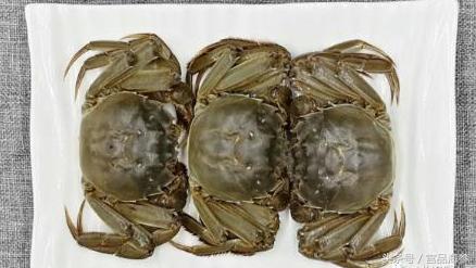 大闸蟹活蟹清蒸,蟹的家常做法大闸蟹清蒸