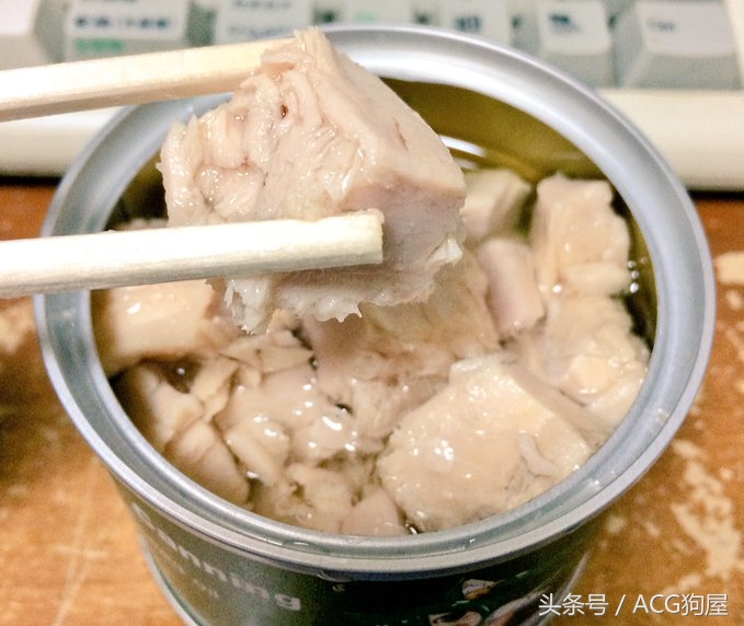 吃人肉？C93日本网友发售自制的萌妹金枪鱼罐头