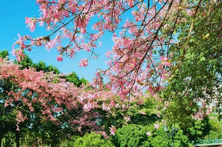 华软科技的趋势,华软科技有多厉害