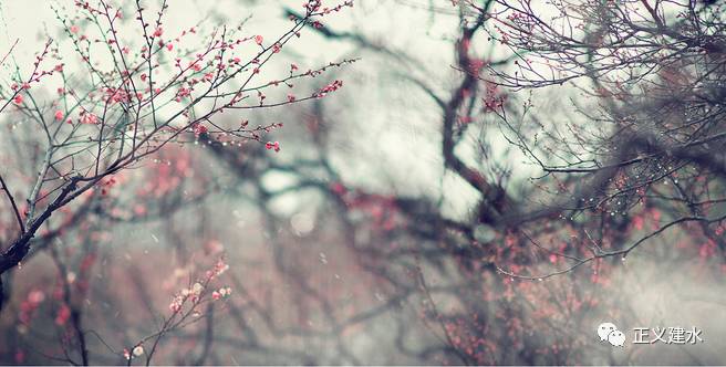 大智若愚的最高境界前一句话,处世警句经典古句摘抄