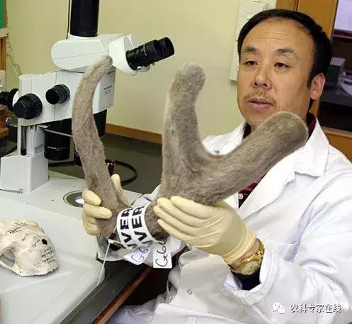 李春义|直径10厘米的伤口,1分钟止血,6天痊愈,谁是幕后推手?