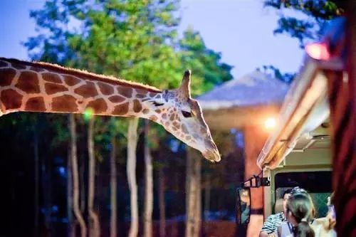 FM专线｜清迈——八万多的Tiffany毛线也买不到的诗和远方