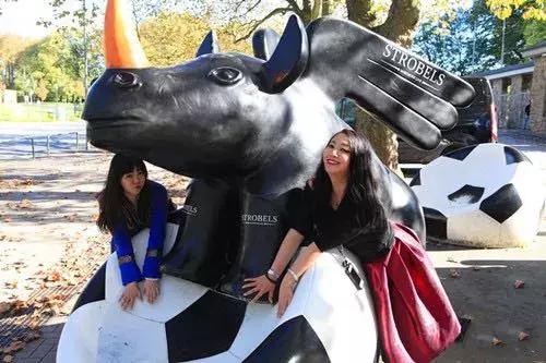 办签证缴三万保证金,签证办理流程和费用2021