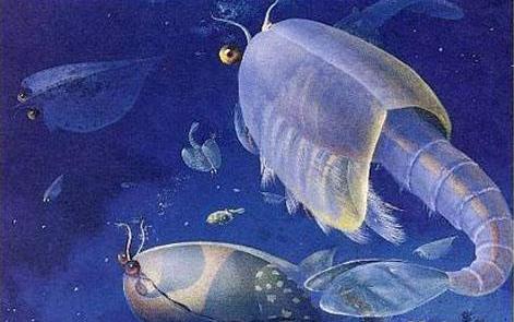 寒武纪有哪些奇怪的生物,寒武纪生物大爆发最主要特征