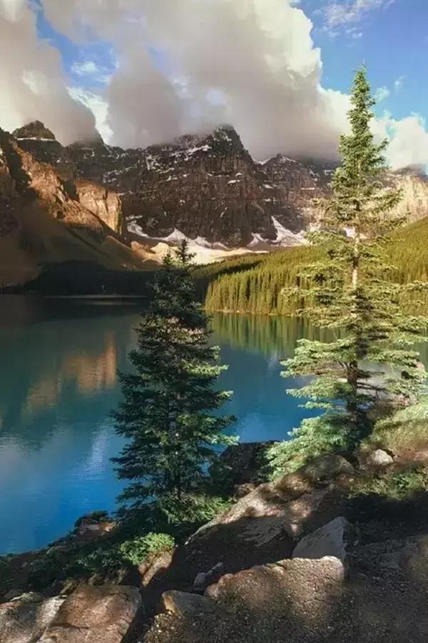 30个历史典故50字,80个文化典故了解中华上下五千年