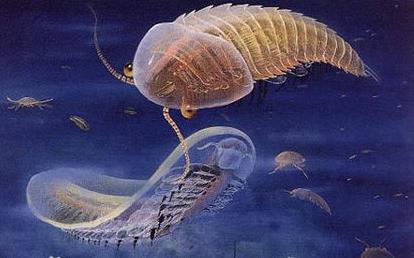 寒武纪有哪些奇怪的生物,寒武纪生物大爆发最主要特征