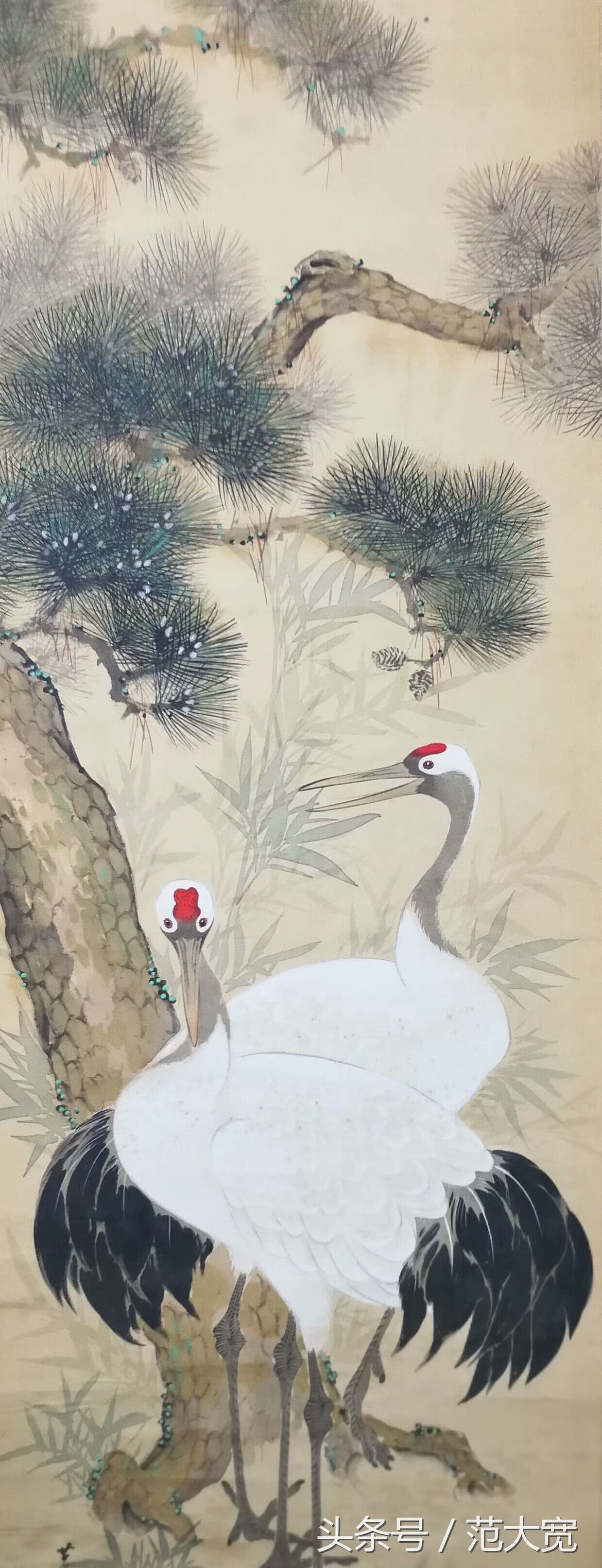 日本画师画仙鹤,仙鹤画作讲解