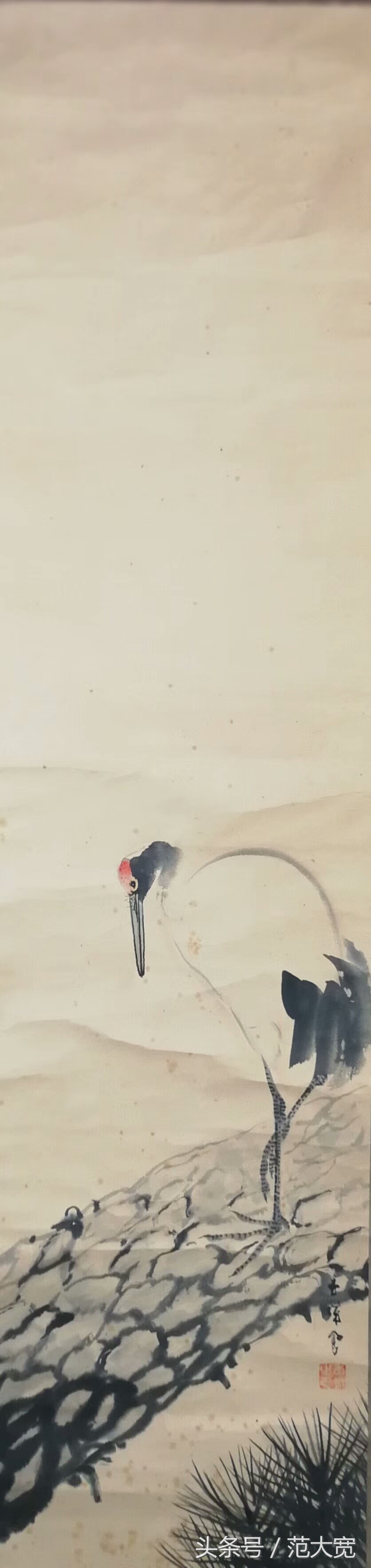 日本画师画仙鹤,仙鹤画作讲解