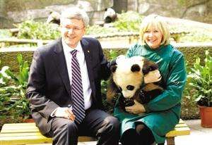 大熊猫龙凤胎宝宝名字,给宝宝取有关大熊猫的名字