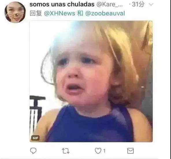 大熊猫龙凤胎宝宝名字,给宝宝取有关大熊猫的名字