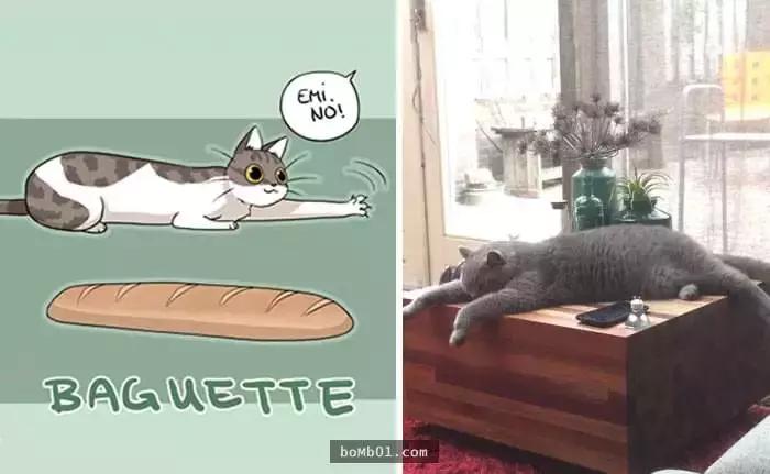 传说中猫有九条命分别是啥,传说中有9条命的猫