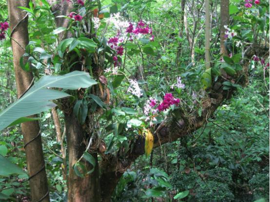 三亚吃喝玩乐亲身攻略——两匹北方的大姑娘吃喝玩乐在三亚